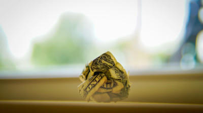What if RFK Jr. is Right About Fraud&nbsp;Waste?